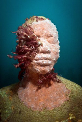 Grenadian sculpture of young boy with pink sponges and tu... by Jason Decaires Taylor 